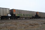TGNX 31211